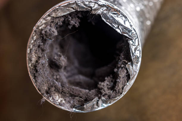 Best Air Duct Cleaning Near Me  in Newburgh, IN