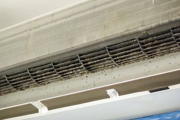 Best Residential Air Duct Cleaning  in Newburgh, IN